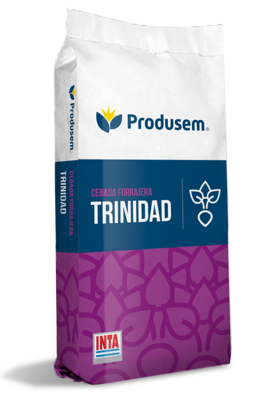 Cebada forrajera Trinidad Inta
