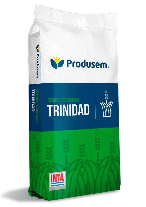 Verdeo Cebada Forrajera Trinidad Inta